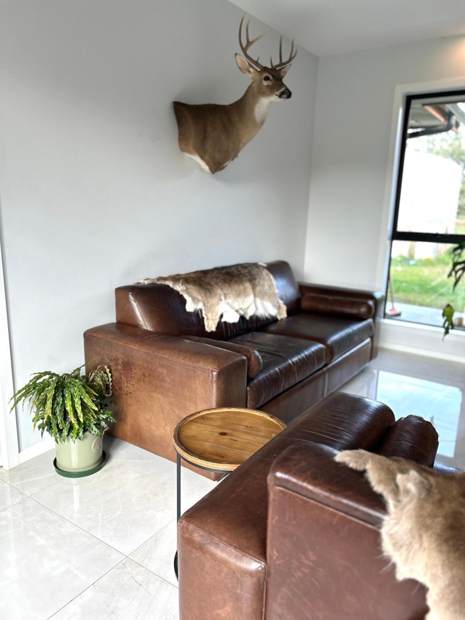 Tarras Serenity Haven - Mountain Views And Calm المظهر الخارجي الصورة